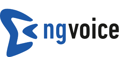Ng-voice GmbH