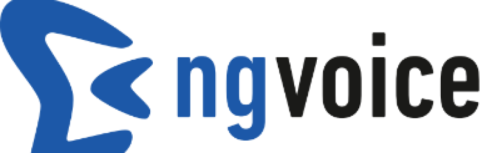 Ng-voice GmbH
